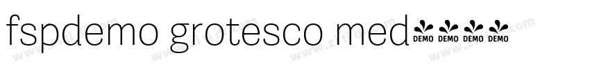 fspdemo grotesco med字体转换